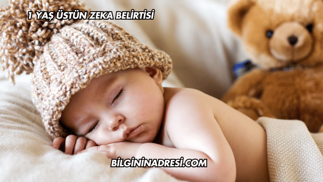 1 Yaş Üstün Zeka Belirtisi