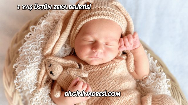 1 Yaş Üstün Zeka Belirtisi