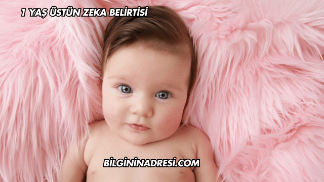 1 Yaş Üstün Zeka Belirtisi