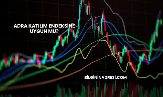Adra Katılım Endeksine Uygun mu?