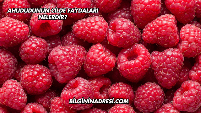 Ahududunun Cilde Faydaları Nelerdir?