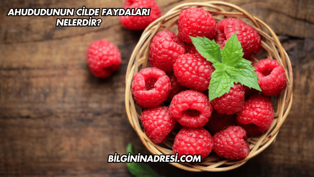 Ahududunun Cilde Faydaları Nelerdir?