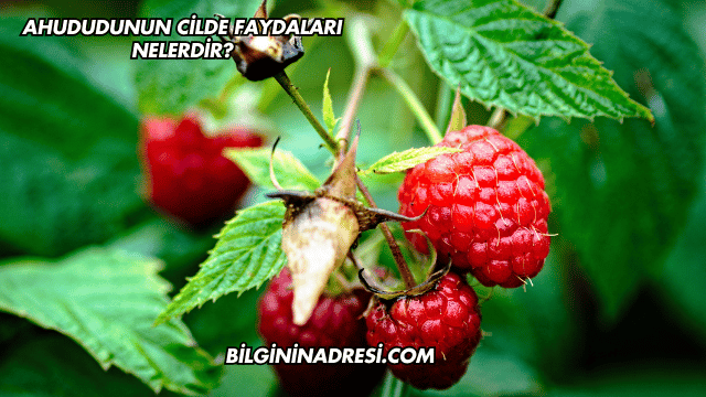 Ahududunun Cilde Faydaları Nelerdir?