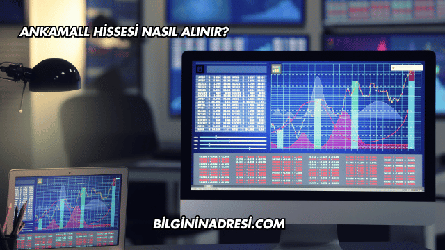 Ankamall Hissesi Nasıl Alınır?