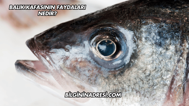 Balık Kafasının Faydaları Nedir?