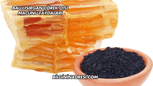Ballı Isırgan Çörek Otu Macunu Faydaları