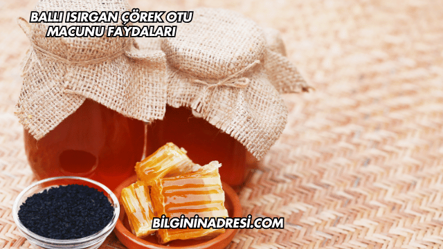 Ballı Isırgan Çörek Otu Macunu Faydaları