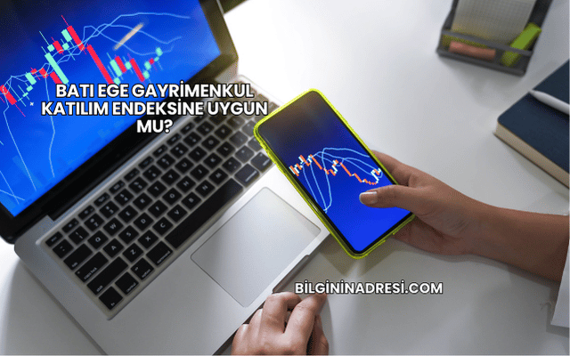 Batı Ege Gayrimenkul Katılım Endeksine Uygun mu?