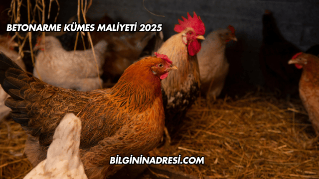 Betonarme Kümes Maliyeti 2025