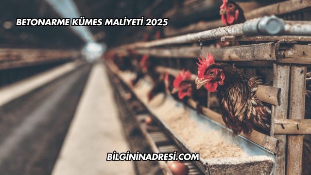 Betonarme Kümes Maliyeti 2025