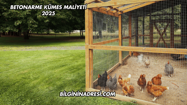 Betonarme Kümes Maliyeti 2025