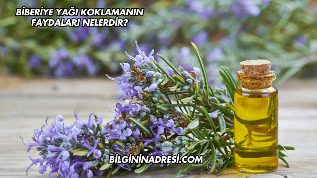 Biberiye Yağı Koklamanın Faydaları Nelerdir?