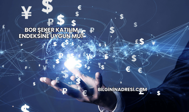 Bor Şeker Katılım Endeksine Uygun mu?
