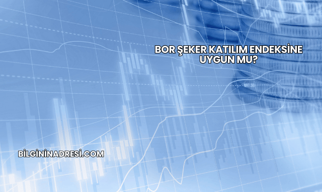 Bor Şeker Katılım Endeksine Uygun mu?