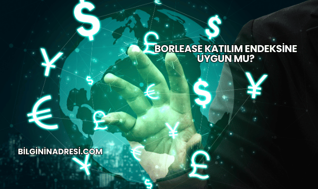 Borlease Katılım Endeksine Uygun mu?