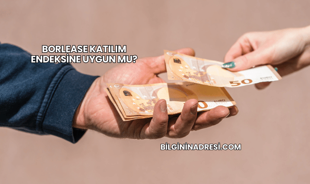 Borlease Katılım Endeksine Uygun mu?