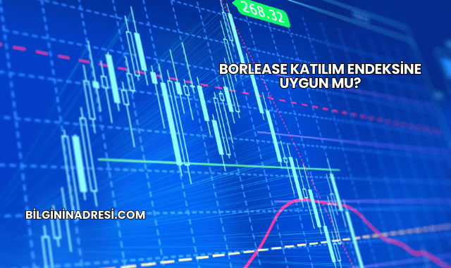 Borlease Katılım Endeksine Uygun mu?