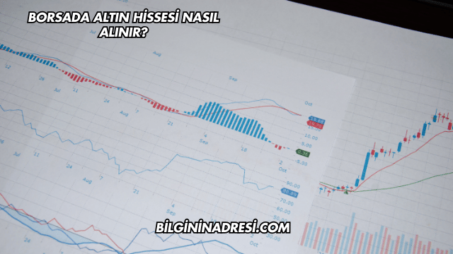 Borsada Altın Hissesi Nasıl Alınır?