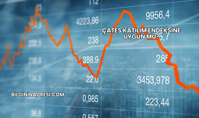 ÇATES Katılım Endeksine Uygun mu?