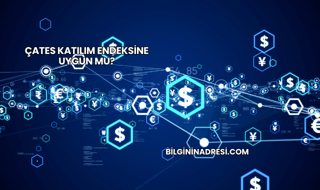 ÇATES Katılım Endeksine Uygun mu?