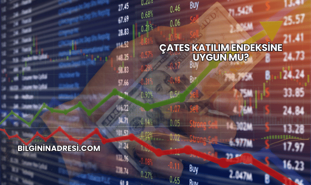 ÇATES Katılım Endeksine Uygun mu?