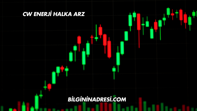 CW Enerji Halka Arz