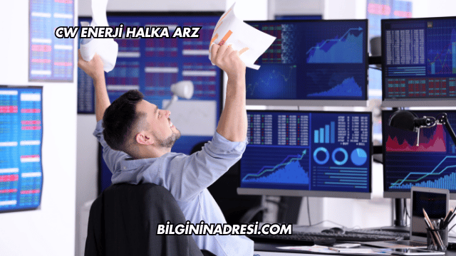 CW Enerji Halka Arz
