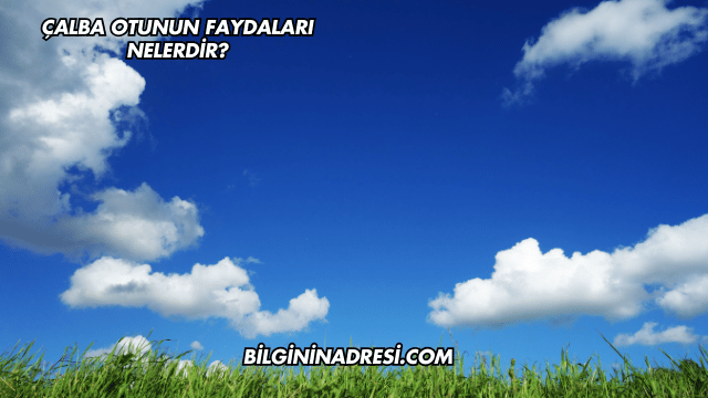 Çalba Otunun Faydaları Nelerdir?