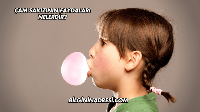 Çam Sakızının Faydaları Nelerdir?