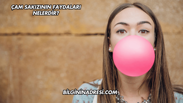 Çam Sakızının Faydaları Nelerdir?