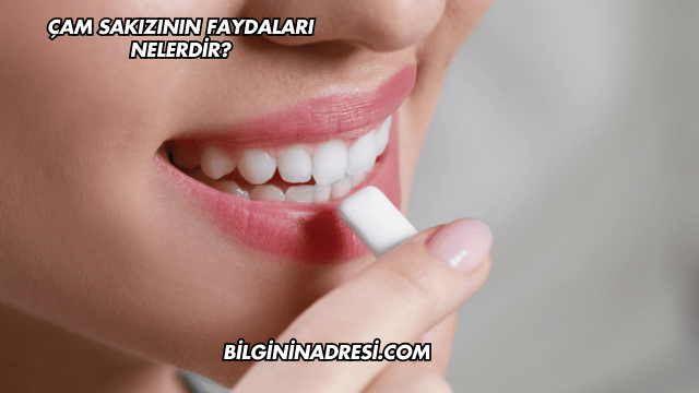 Çam Sakızının Faydaları Nelerdir?
