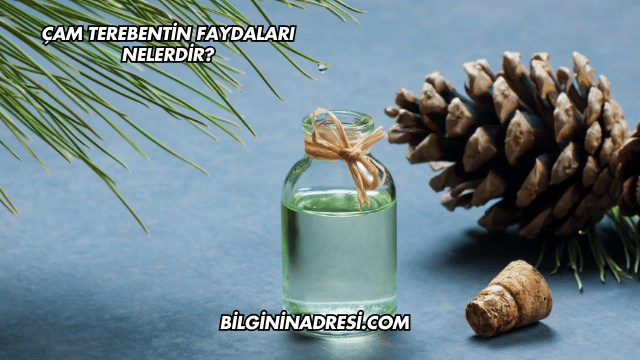 Çam Terebentin Faydaları Nelerdir?