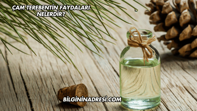 Çam Terebentin Faydaları Nelerdir?