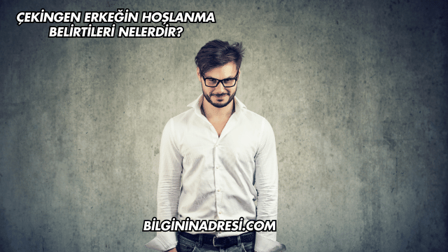 Çekingen Erkeğin Hoşlanma Belirtileri Nelerdir?