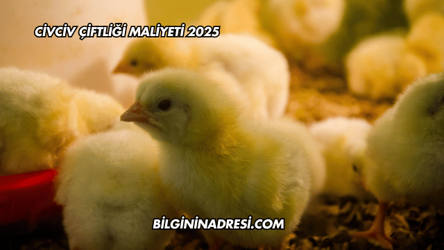 Civciv Çiftliği Maliyeti 2025