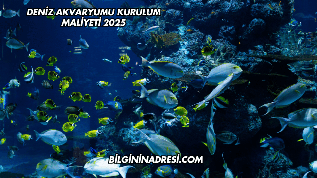 Deniz Akvaryumu Kurulum Maliyeti 2025