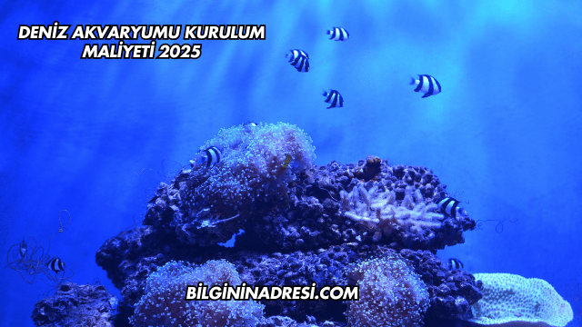 Deniz Akvaryumu Kurulum Maliyeti 2025
