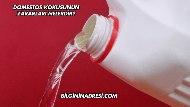 Domestos Kokusunun Zararları Nelerdir?