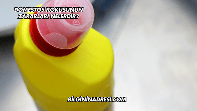 Domestos Kokusunun Zararları Nelerdir?