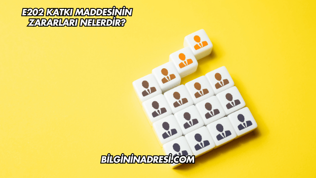 E202 Katkı Maddesinin Zararları Nelerdir?
