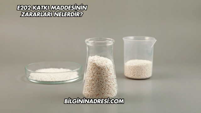 E202 Katkı Maddesinin Zararları Nelerdir?