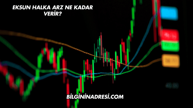 Eksun Halka Arz Ne Kadar Verir?