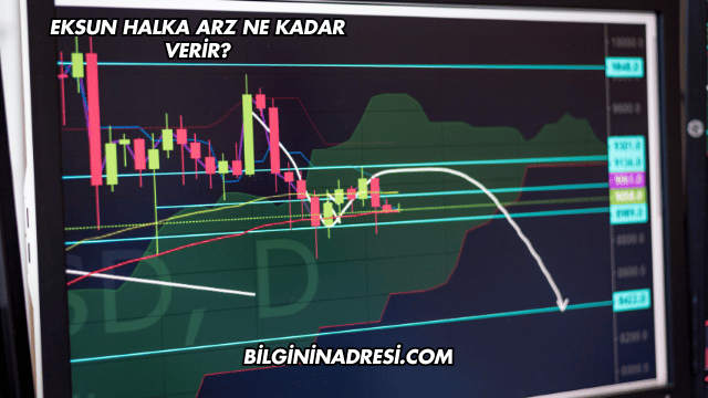 Eksun Halka Arz Ne Kadar Verir?