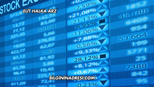 Elit Halka Arz