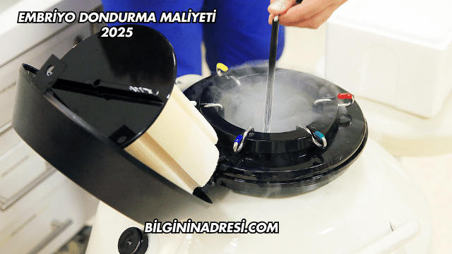 Embriyo Dondurma Maliyeti 2025