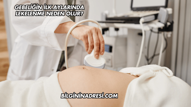 Gebeliğin İlk Aylarında Lekelenme Neden Olur?