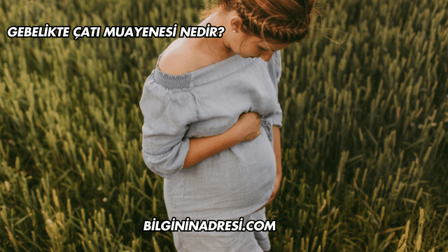 Gebelikte Çatı Muayenesi Nedir?