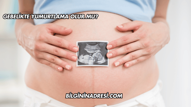 Gebelikte Yumurtlama Olur mu?
