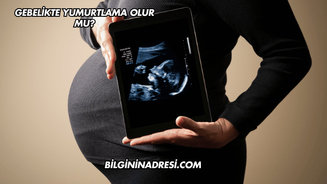 Gebelikte Yumurtlama Olur mu?