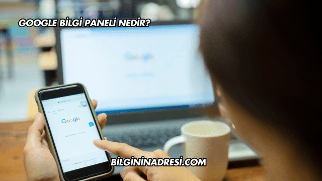 Google Bilgi Paneli Nedir?